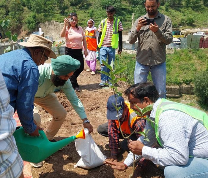 Environmental Sustainability